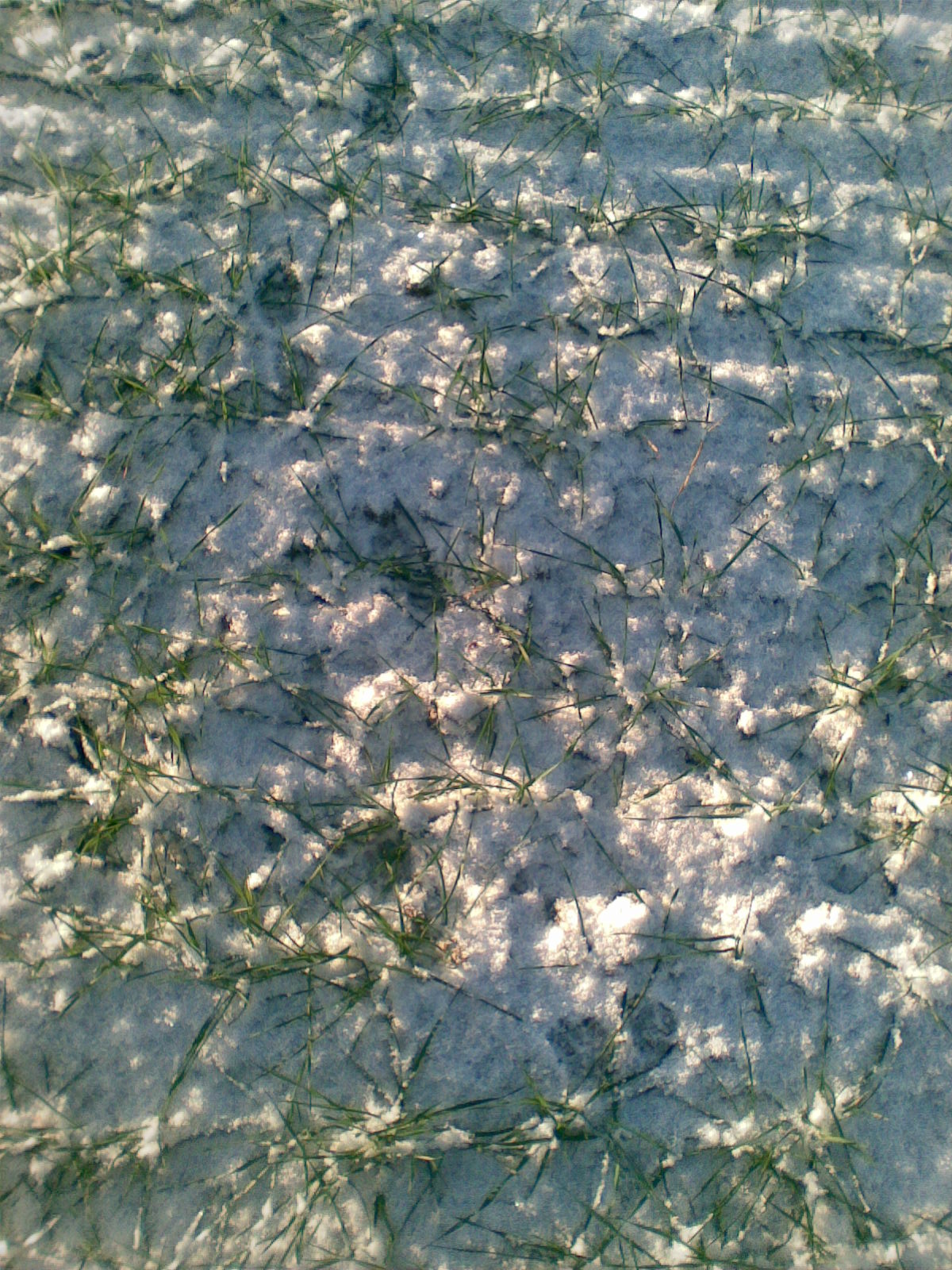 Obraz013.jpg