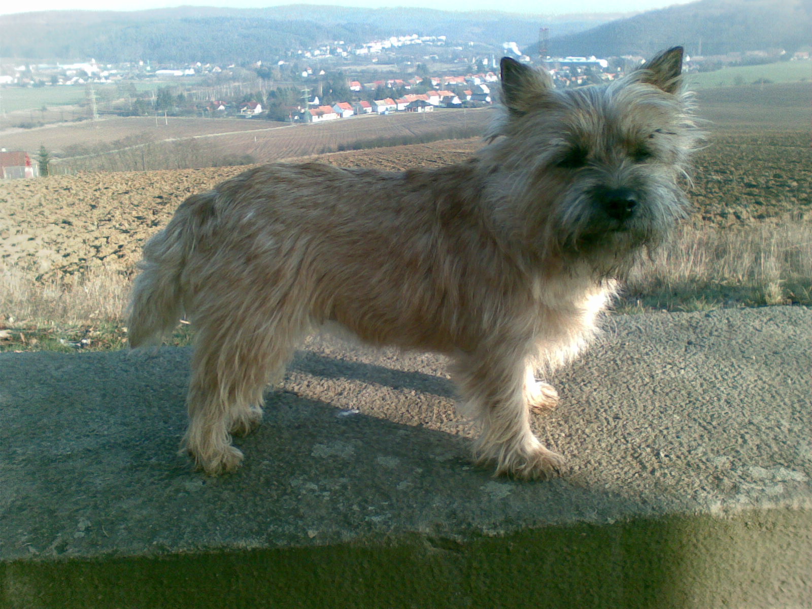 Obraz045.jpg
