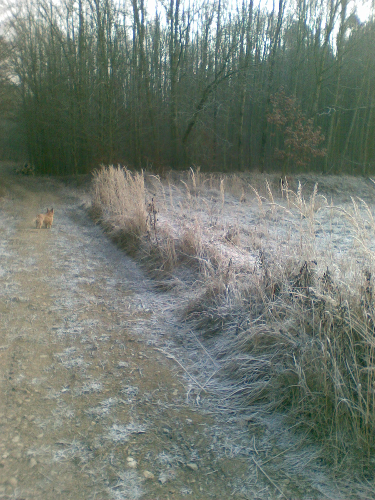 Obraz061.jpg