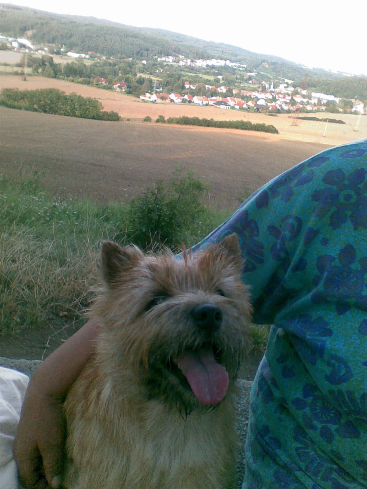 Obraz002.jpg