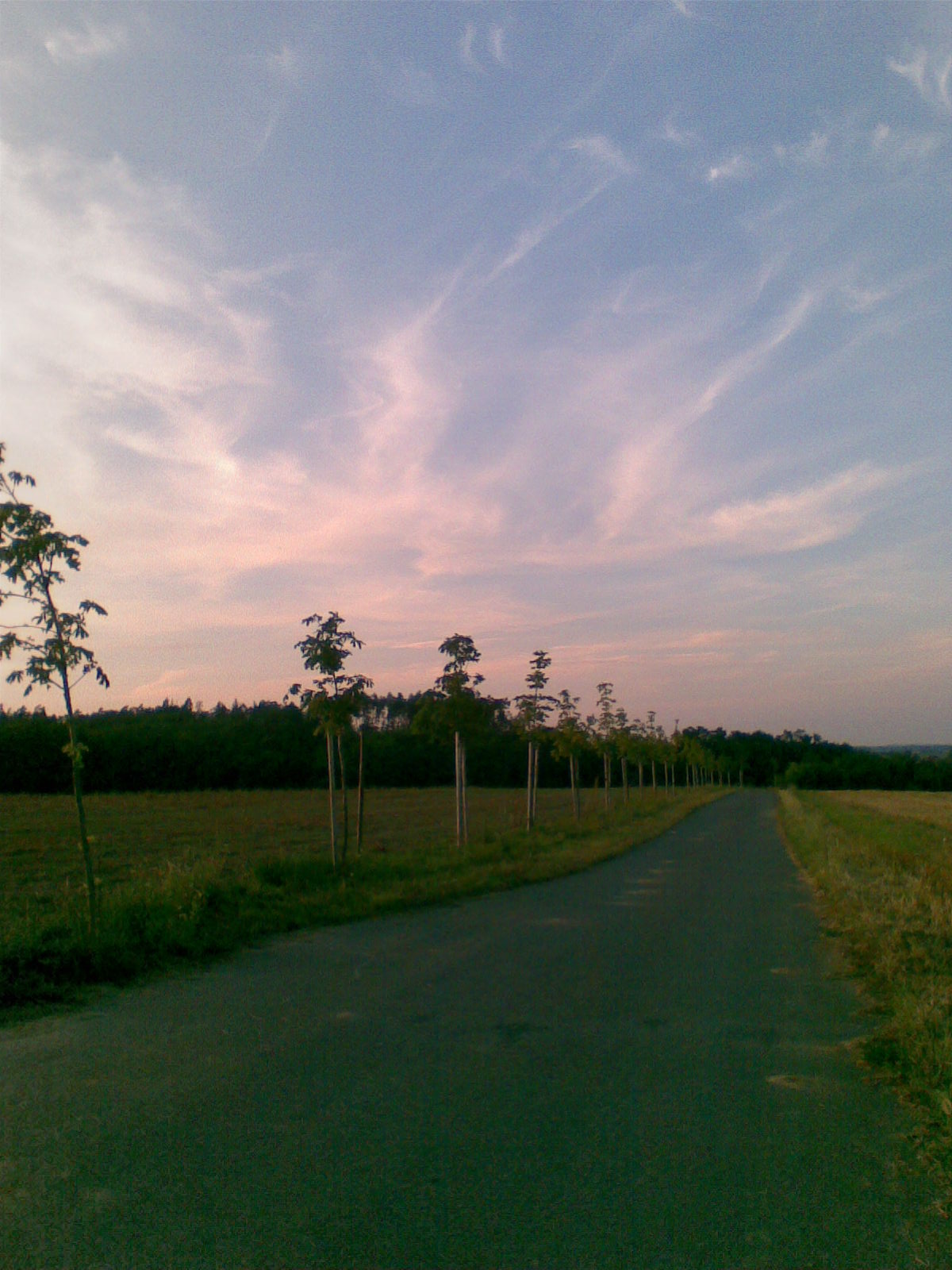 Obraz071.jpg