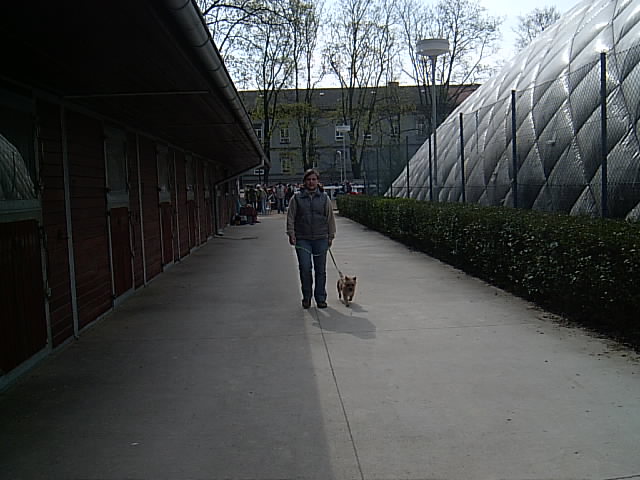 IM000257.JPG