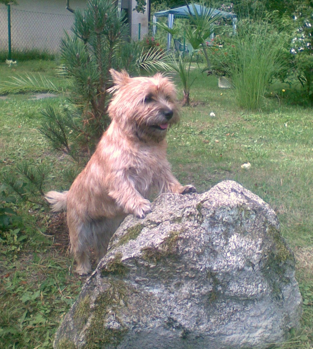 Obraz021-1.jpg