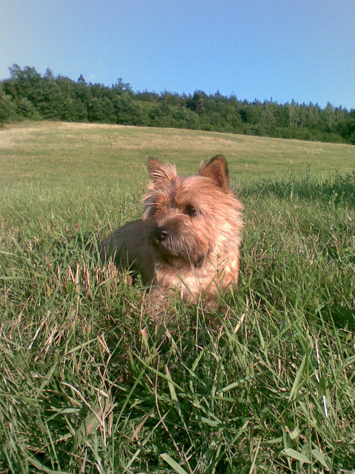Obraz003.jpg