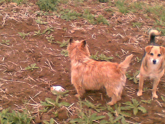 Obraz040.jpg